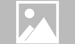 乳梗漫画,揭秘奶制品行业的趣味真相